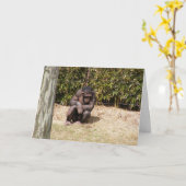 Word snel gezond Kaart #1 (Gele Bloem)