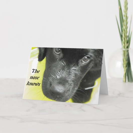 Word snel gezond Puppy Wenskaart Kaart (Voorkant)