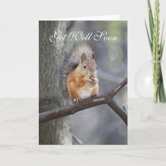 Word snel gezond Red Squirrel Wenskaart Kaart (Voorkant)