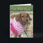 Word snel gezond Teckel wenskaart Kaart<br><div class="desc">Word snel gezond Teckel wenskaart</div>