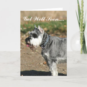Word spoedig Schnauzer goed hondwenskaart Kaart