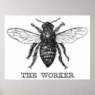 Worker Bee Black White Bumblebee Vintage Poster