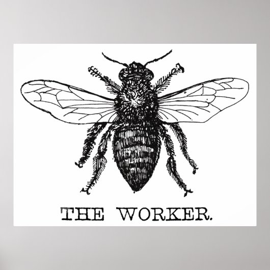 Worker Bee Black White Bumblebee Vintage Poster (Voorkant)