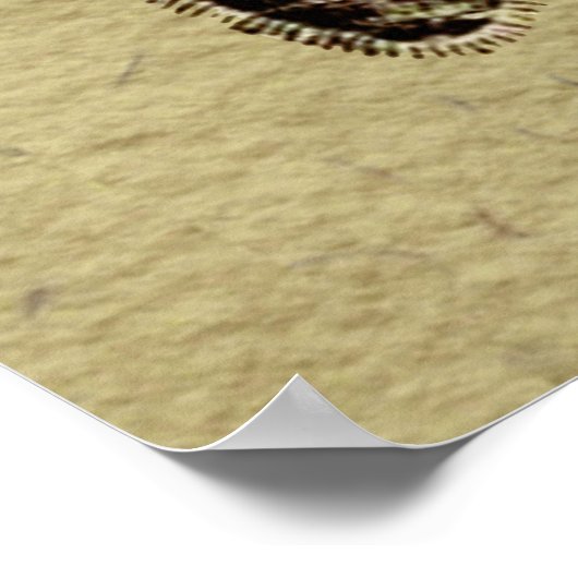 Worker Bee Insect Illustration Poster (Hoek)