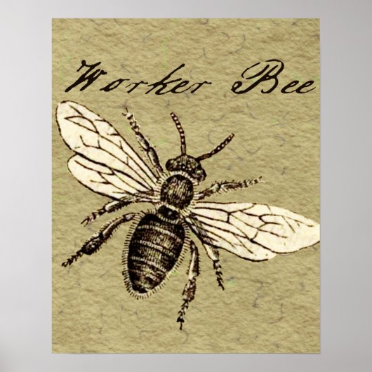 Worker Bee Insect Illustration Poster (Voorkant)