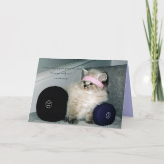 workin uit pussie, "het vergt moed om… kaart