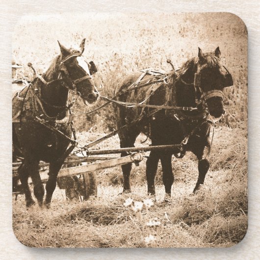 Working Amish Horses Sepia Bier Onderzetter (Voorkant)