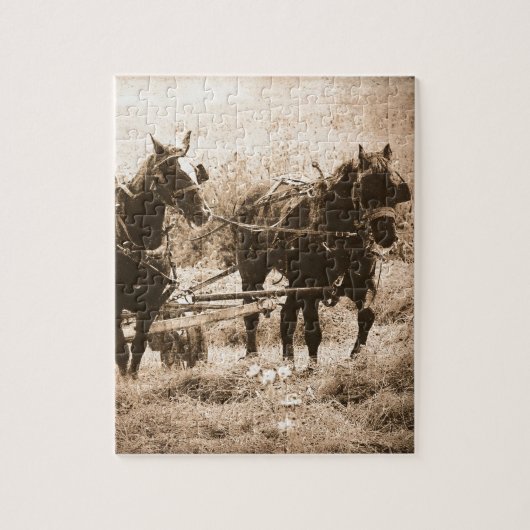 Working Amish Horses Sepia Legpuzzel (Verticaal)