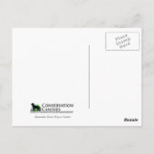 Working Dog Haley Conservation Canines Briefkaart (Achterkant)