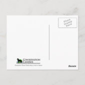 Working Dog Scooby Relaxing Conservation Canines Briefkaart (Achterkant)