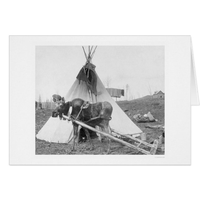 Working Moose Teepee 1916 (Voorkant Horizontaal)