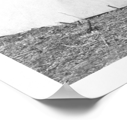 Working Moose Teepee 1916 Poster (Hoek)