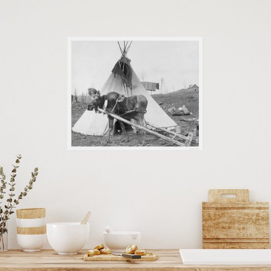 Working Moose Teepee 1916 Poster (Keuken)