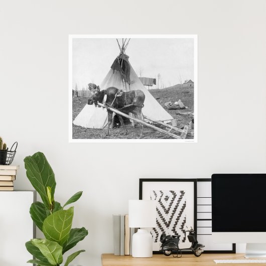 Working Moose Teepee 1916 Poster (Thuiskantoor)
