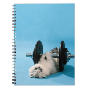 Workout Cat Notitieboek
