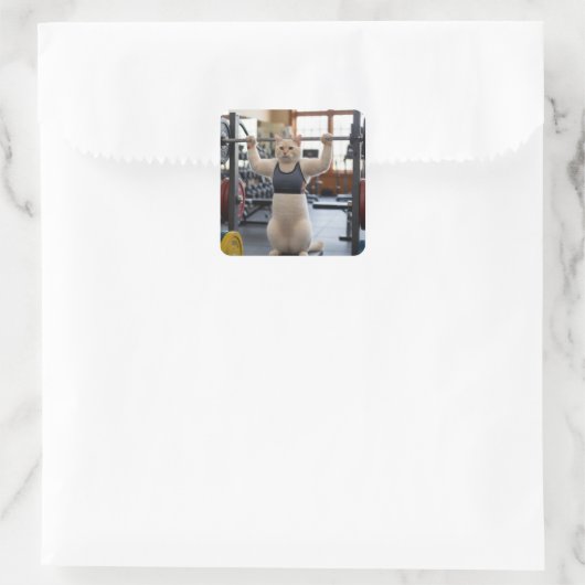 Workout Cat Sticker (Tas)