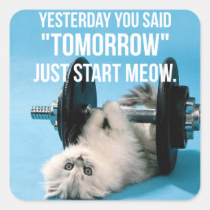 Workout Grappige Motivatie - Cat - Start Meow Vierkante Sticker