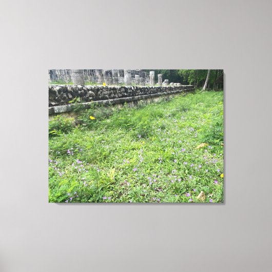 World2Celebrate: Chichén Itzá Butterflies Canvas Afdruk (Voorkant)
