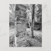 World2Celebrate: Groeten uit Chichén Itzá! Briefkaart (Voorkant)