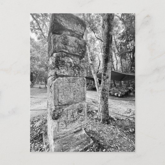 World2Celebrate: Groeten uit Chichén Itzá! Briefkaart (Voorkant)