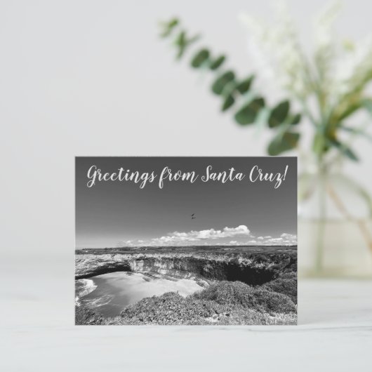 World2Celebrate: Groeten uit Santa Cruz! Briefkaart (Staand voorkant)