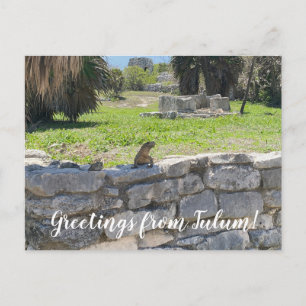 World2Celebrate: Groeten uit Tulum! Briefkaart
