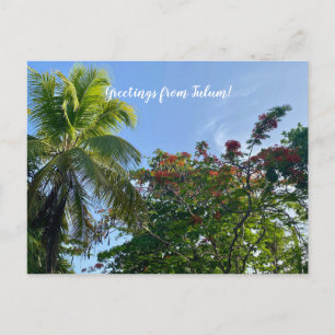 World2Celebrate: Groeten uit Tulum! Briefkaart