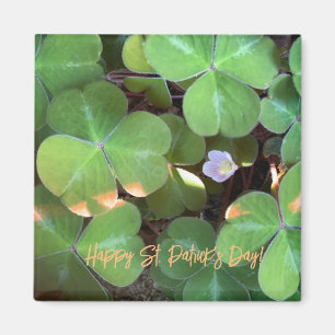 World2Celebrate: Happy St. Patrick's Day! Magneet