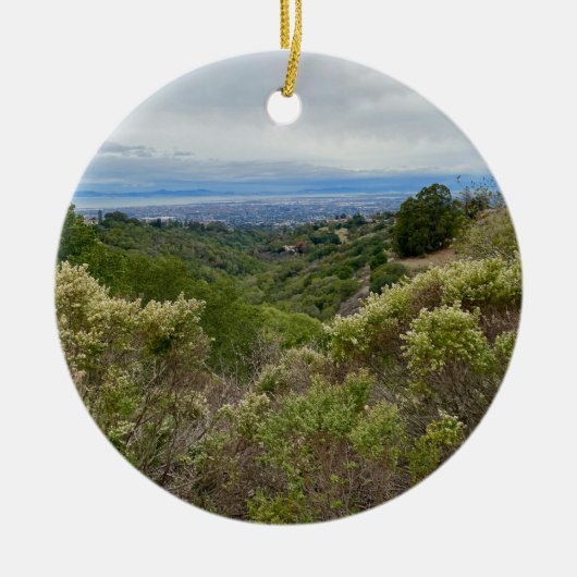 World2Celebrate: Hayward, CA Keramisch Ornament (Voorkant)