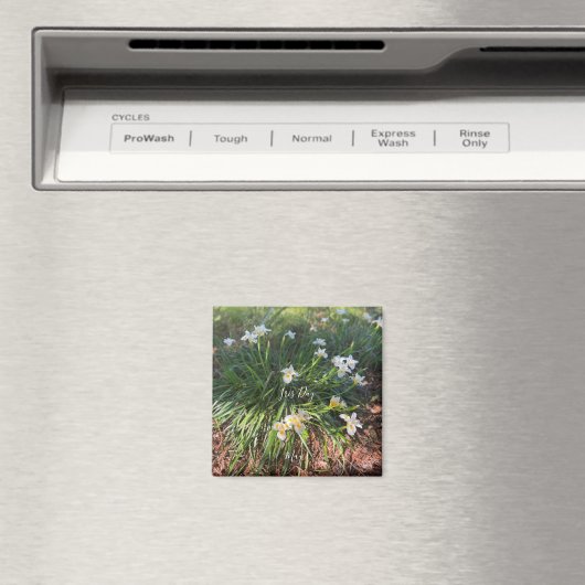 World2Celebrate: Iris Day Magnet (Insitu (Vaatwasser))