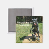 World2Celebrate: Nationale dag van de hond Magneet (Voorkant / Achterkant)