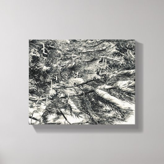 World2Celebrate: sneeuwpieken Canvas Afdruk (Voorkant)