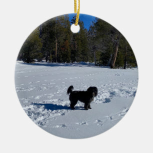 World2Celebrate: Tahoe Snow Dog Keramisch Ornament