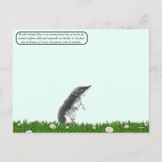 World Animal Day Briefkaart met postzegels (Achterkant)