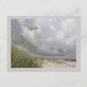 World Blue Yonder Briefkaart