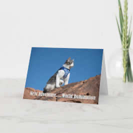 World Domination cat-kaart Aankondiging