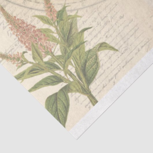 World Ephemera-ontkoppelingspagina Tissuepapier (Detail)