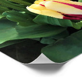 World Expression Tulips, Oregon Poster (Hoek)