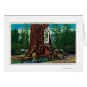 World Famous Tree House, Lilley Redwood Park