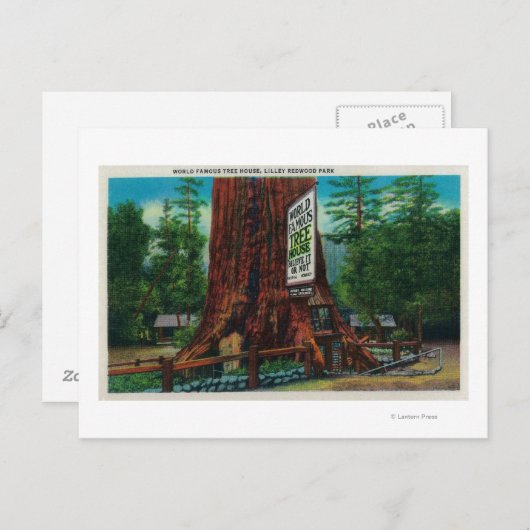World Famous Tree House, Lilley Redwood Park Briefkaart (Voorkant / Achterkant)