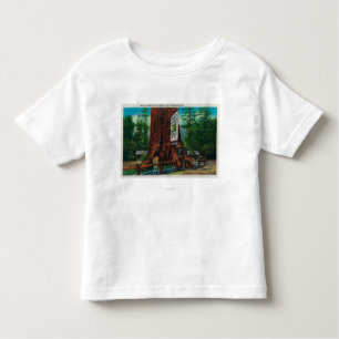 World Famous Tree House, Lilley Redwood Park Kinder Shirts