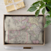World Mercator proj 2 Tissuepapier (Geschenk)