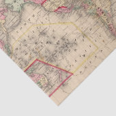 World Mercator proj Map door Mitchell Tissuepapier (Detail)