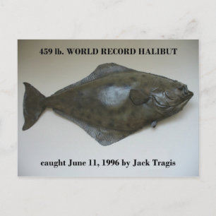 World Record Halibut, gevangen in de Nederlandse h Briefkaart