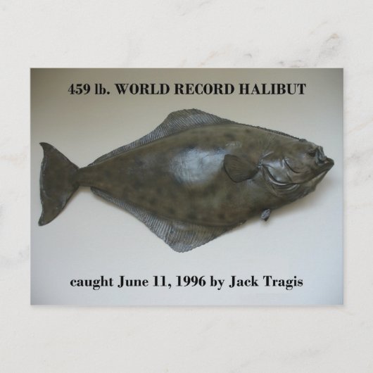 World Record Halibut, gevangen in de Nederlandse h Briefkaart (Voorkant)