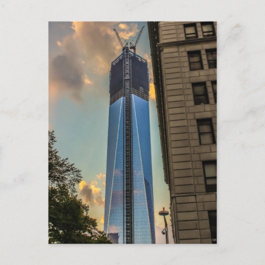 World Trade Center Freedom Tower NYC Briefkaart (Voorkant)