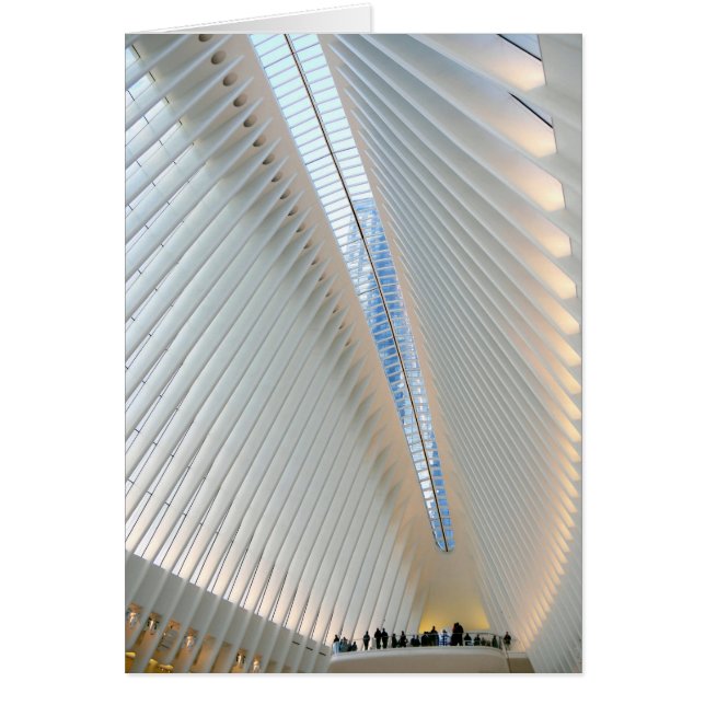 World Trade Center TransportHub, NY (Voorkant)