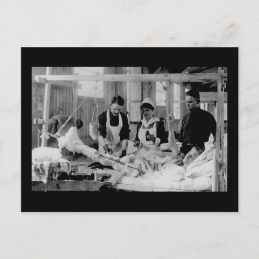 World War One Zurse Field Hospital Briefkaart (Voorkant)