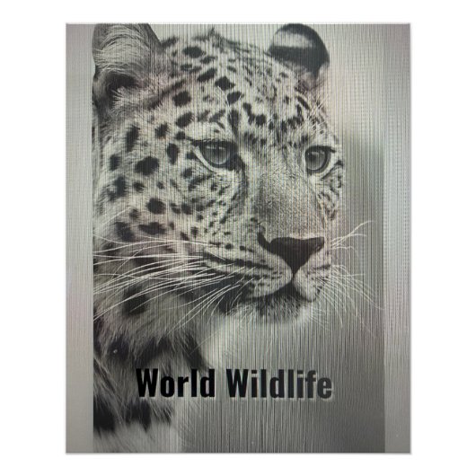 WORLD WILDLIFE POSTER (Voorkant)