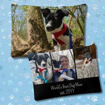 World's Best Dog Mom Cute Photo